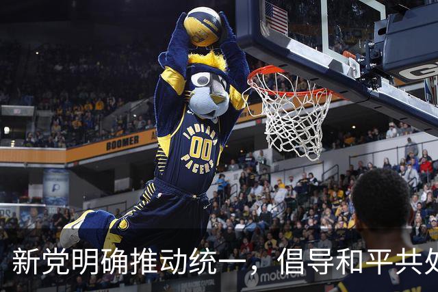 新党明确推动统一，倡导和平共处与经济合作